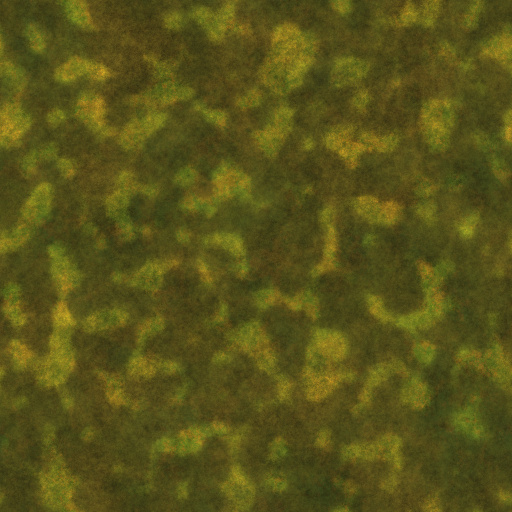 Variation 2