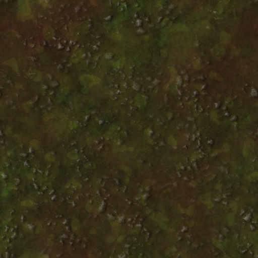 Variation 6
