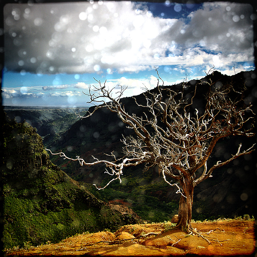 Variation 5