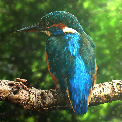 Variation 7