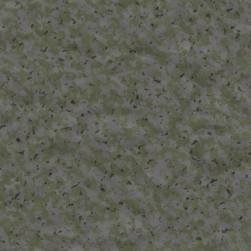 Variation 2
