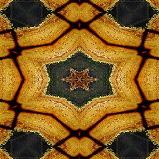 Variation 6