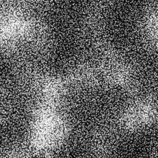 Ambient Occlusion Map
