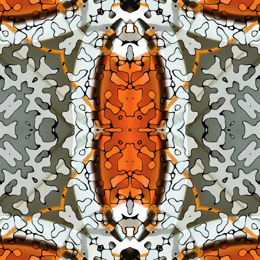 Variation 8