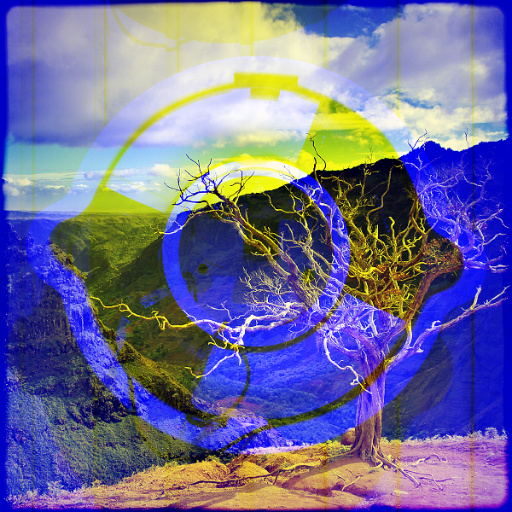 Variation 4