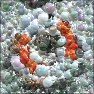 Marbles