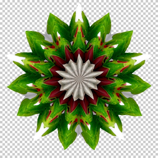 Variation 8