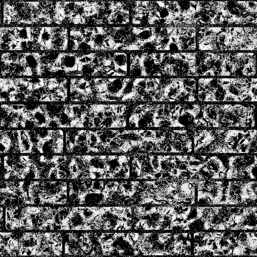 Ambient Occlusion Map