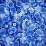 Cell Circle