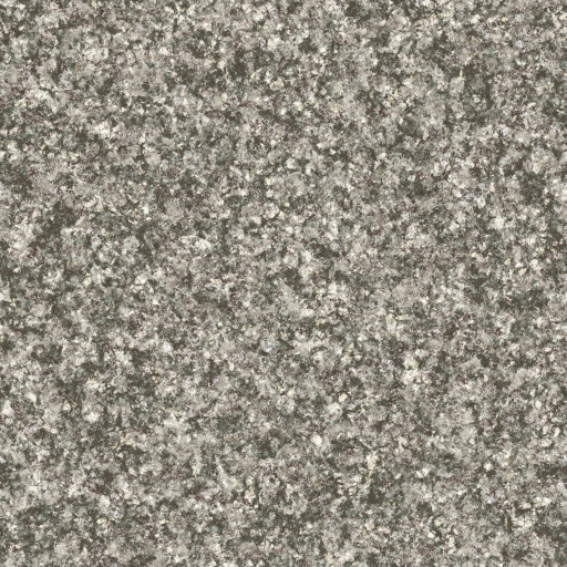 Diffuse Map