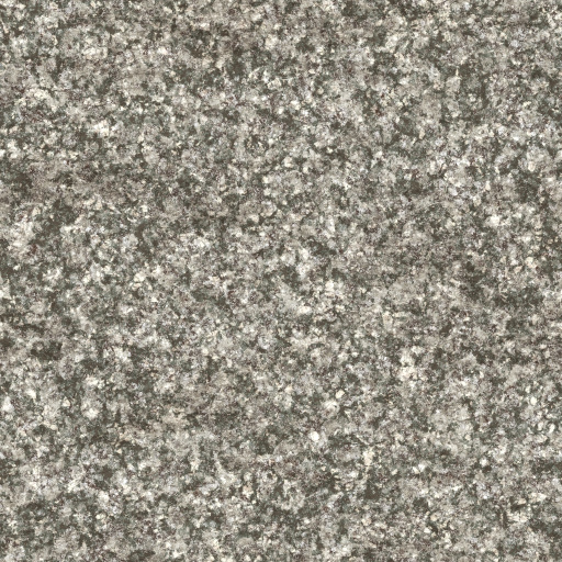 Granite 2.0 (Texture)