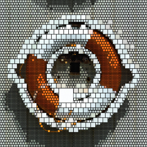 Variation 5