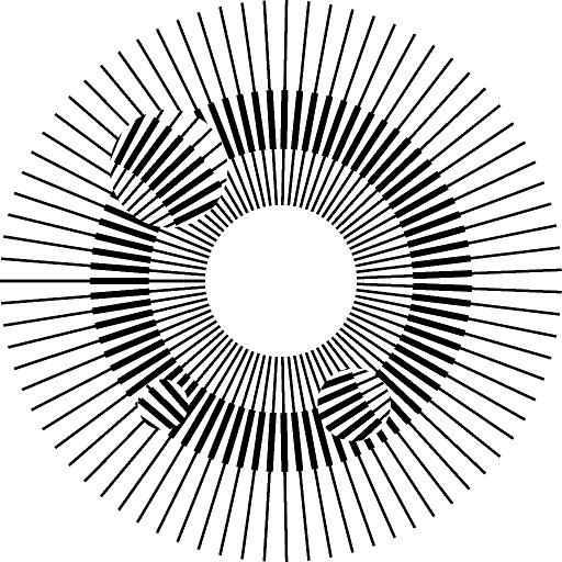 Variation 2