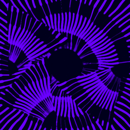 Variation 7