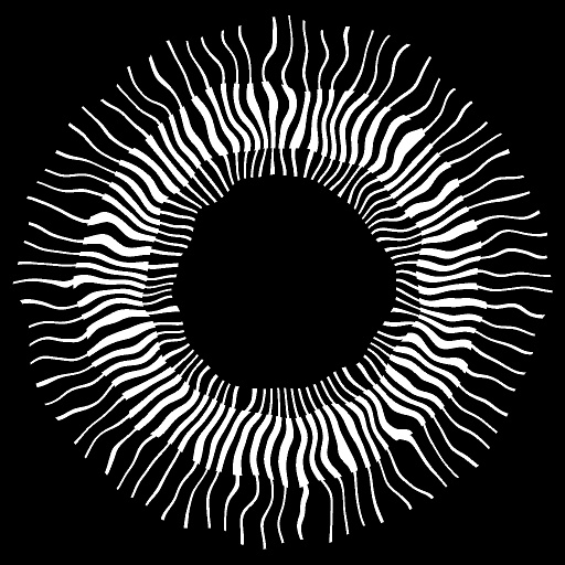 Variation 8