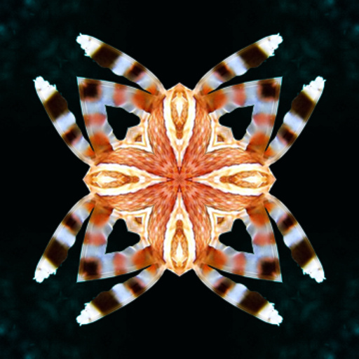 Variation 2