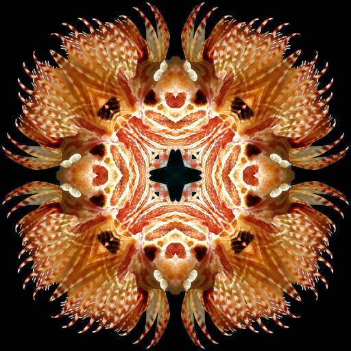 GF Play with Forms v6 (Effect)