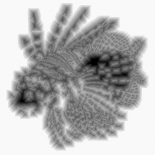 Variation 3