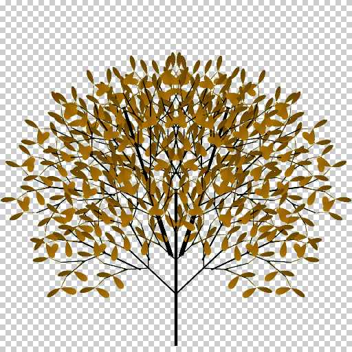 Variation 3