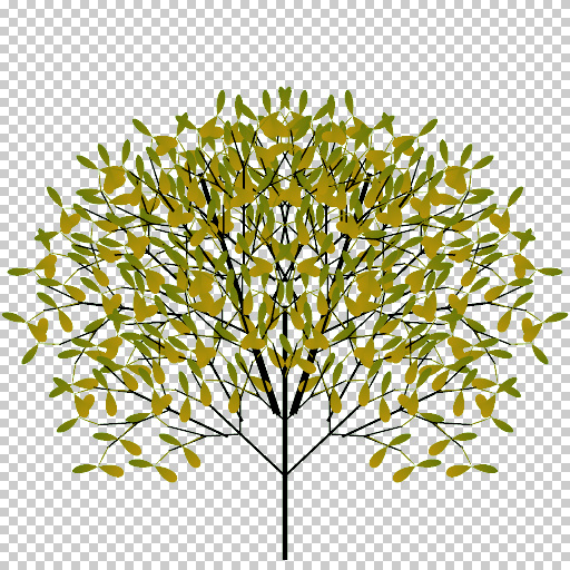 Variation 4
