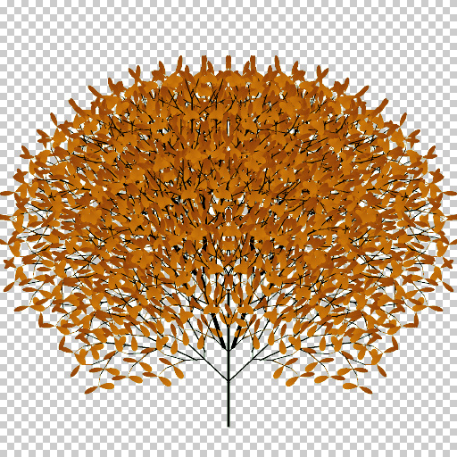Variation 5