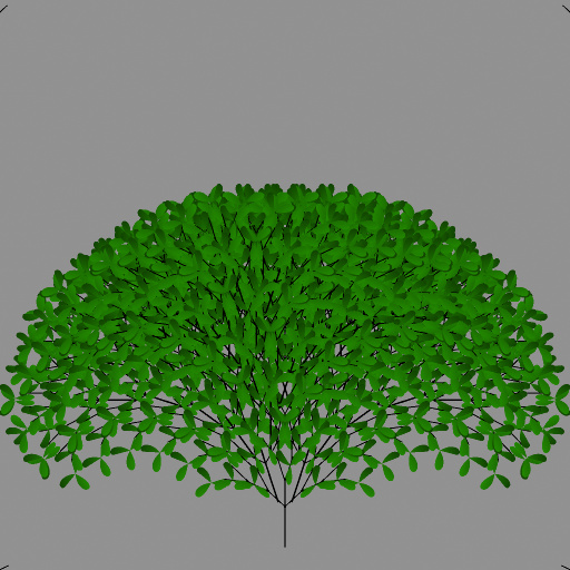 Variation 6