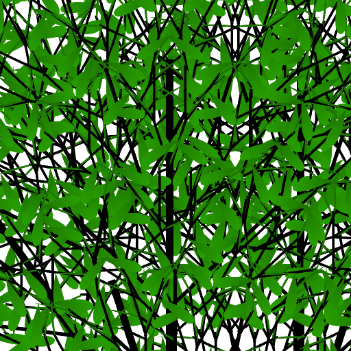 Variation 7