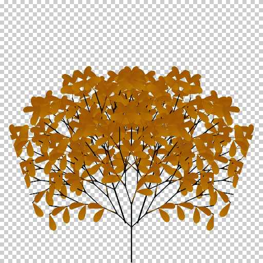 Variation 8