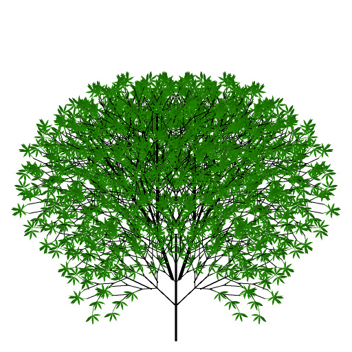 The Curvey Tree (Texture)