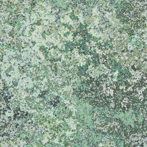 Variation 2