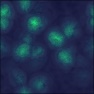Microcosm