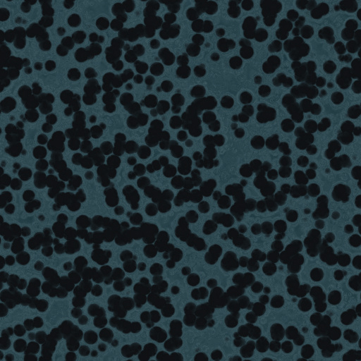 Variation 4