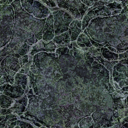 Diffuse Map