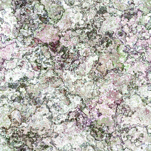 Variation 1