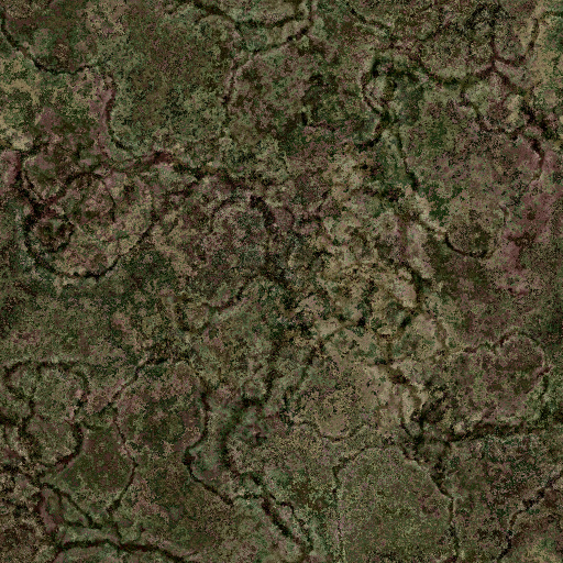 Variation 3