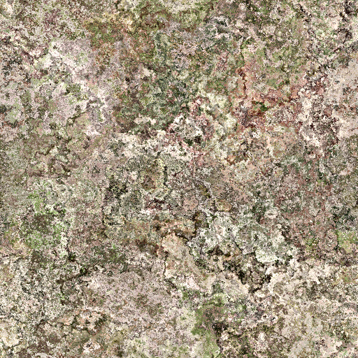 Variation 5