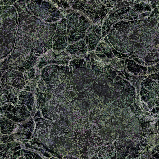 Tortured Textures (Texture)