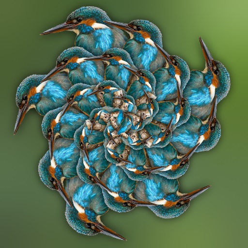 Variation 4
