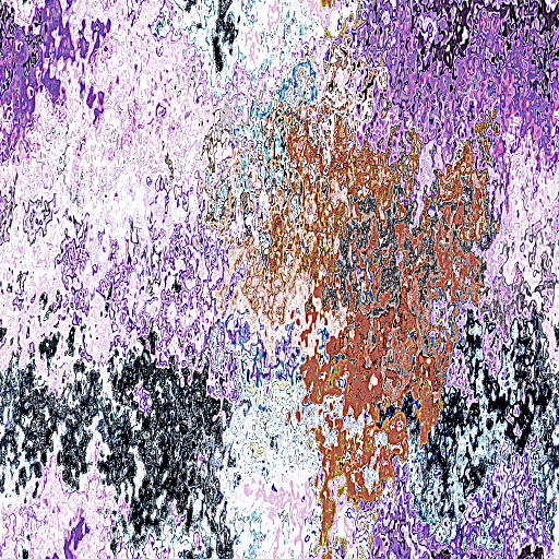 Variation 2