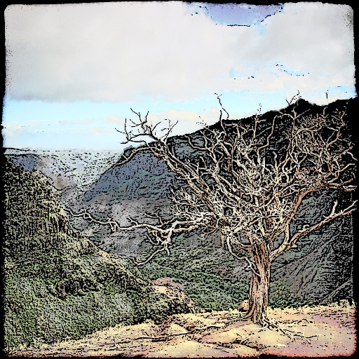 Variation 2