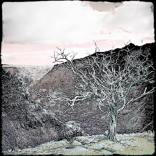 Variation 7