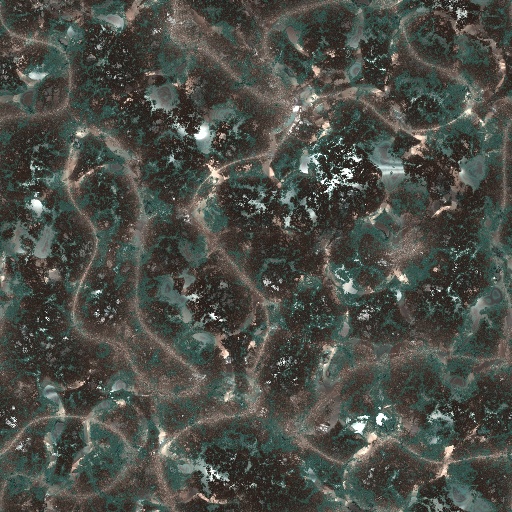 Variation 6