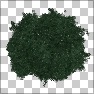 Tree Tops
