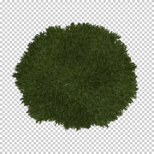 Variation 2