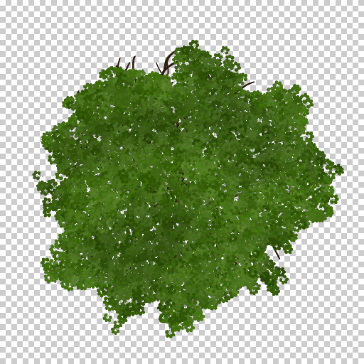 Variation 6