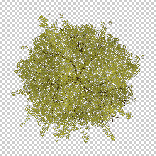 Variation 7