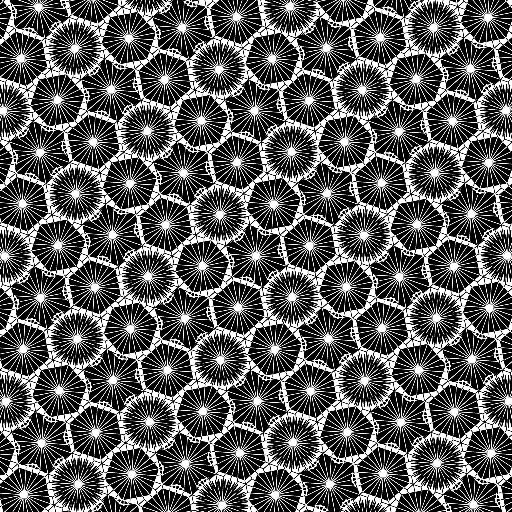 Variation 6