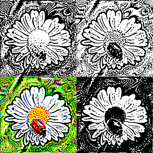 Variation 6