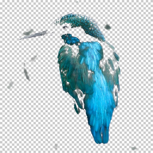 Variation 2