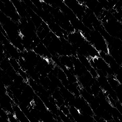 Ambient Occlusion Map